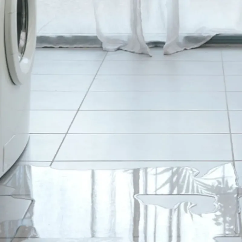 Appliance Leak Cleanup in Chester, IL