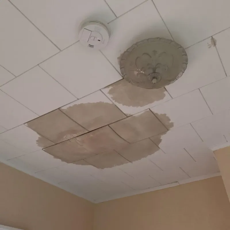 Ceiling Water Damage Repair in Chester, IL