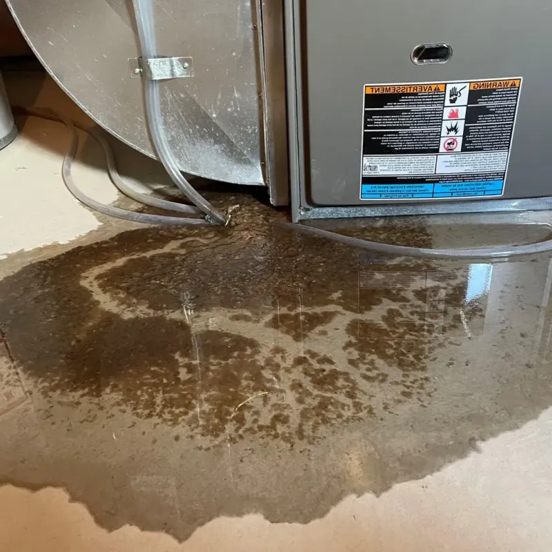 Pipe Burst and Leak Restoration in Chester, IL