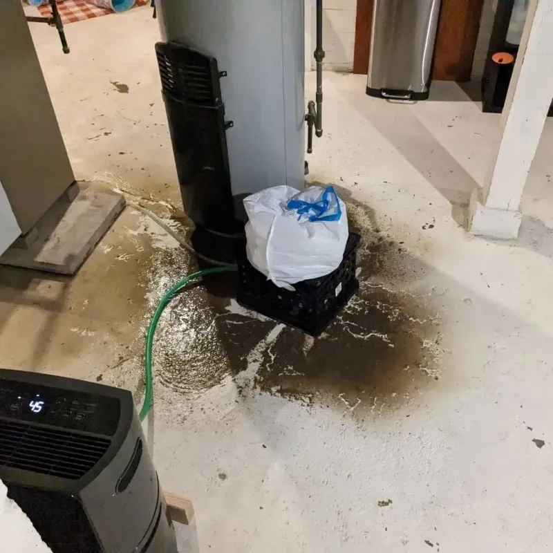 Sewage Backup Cleanup Service in Chester, IL